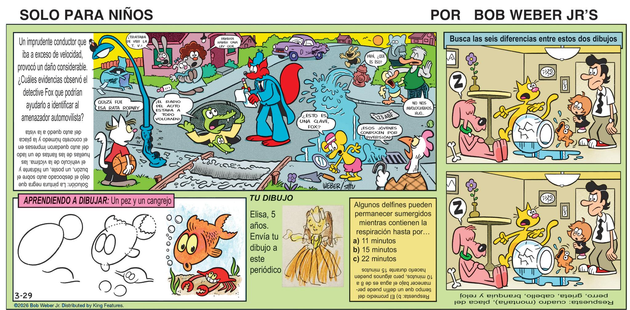 Pleased OCR: POR BOB WEBER JR'S Busca las seis diferencias entre estos dos dibujos SOLO PARA NIÑOS Un imprudente conductor que iba a exceso de velocidadprovocó un daño considerable. ¿Cuáles evidencias observó el detective Fox que podrían ayudarlo a identificar al amenazador automovilista? ¡TRATABA DE VER LA T. V.! QUIZÁ FUE ESA RATA RODNEY ¡EL RADIO DEL AUTO ESTABA A TODO VOLUMEN! DEBERÍA HABER UNA LEY QUE ¿ESTO UNA CLAVEFOX? PAPAQUE A ES ESO? SON ON 123 ABF INVOLUCREMOSHIJO... ¡ESOS JÓVENES CONDUCEN POR DIVERSIÓN! M Solución: La pintura negra que el concreto húmedo y la placa del auto quedaron impresas en huellas de las llantas de un lado el vehículo de la víctima. las buzónun hidrante y dejó el desbocado auto sobre el del auto quedó a la vista APRENDIENDO A DIBUJAR: Un pez y un cangrejo TU DIBUJO Elisa5 años. 3-29 ©2026 Bob Weber Jr. Distributed by King Features. 00 Me WEBER/Stu ? O Algunos delfines pueden permanecer sumergidos mientras contienen la respiración hasta por... Envía tu a) 11 minutos dibujo a este b) 15 minutos periódico c) 22 minutos Z O perrobranquia y reloj Respuesta: cuadro (montaña)placa del hacerlo durante 15 minutos 10 minutospero algunos pueden manecer bajo el agua es de 8 a tiempo que un delfín puede per- Respuesta: b) El promedio del POR BOB WEBER JR'S Busca las seis diferencias entre estos dos dibujos SOLO PARA NIÑOS Un imprudente conductor que iba a exceso de velocidadprovocó un daño considerable . ¿ Cuáles evidencias observó el detective Fox que podrían ayudarlo a identificar al amenazador automovilista ? ¡ TRATABA DE VER LA T. V. ! QUIZÁ FUE ESA RATA RODNEY ¡ EL RADIO DEL AUTO ESTABA A TODO VOLUMEN ! DEBERÍA HABER UNA LEY QUE ¿ ESTO UNA CLAVEFOX ? PAPAQUE A ES ESO ? SON ON 123 ABF INVOLUCREMOSHIJO ... ¡ ESOS JÓVENES CONDUCEN POR DIVERSIÓN ! M Solución : La pintura negra que el concreto húmedo y la placa del auto quedaron impresas en huellas de las llantas de un lado el vehículo de la víctima . las buzónun posteun hidrante y dejó el desbocado auto sobre el del auto quedó a la vista APRENDIENDO A DIBUJAR : Un pez y un cangrejo TU DIBUJO Elisa5 años . 3-29 © 2026 Bob Weber Jr. Distributed by King Features . 00 Me WEBER / Stu ? O Algunos delfines pueden permanecer sumergidos mientras contienen la respiración hasta por ... Envía tu a ) 11 minutos dibujo a este b ) 15 minutos periódico c ) 22 minutos Z O perrobranquia y reloj Respuesta : cuadro ( montaña )placa del hacerlo durante 15 minutos 10 minutospero algunos pueden manecer bajo el agua es de 8 a tiempo que un delfín puede per- Respuesta : b ) El promedio del