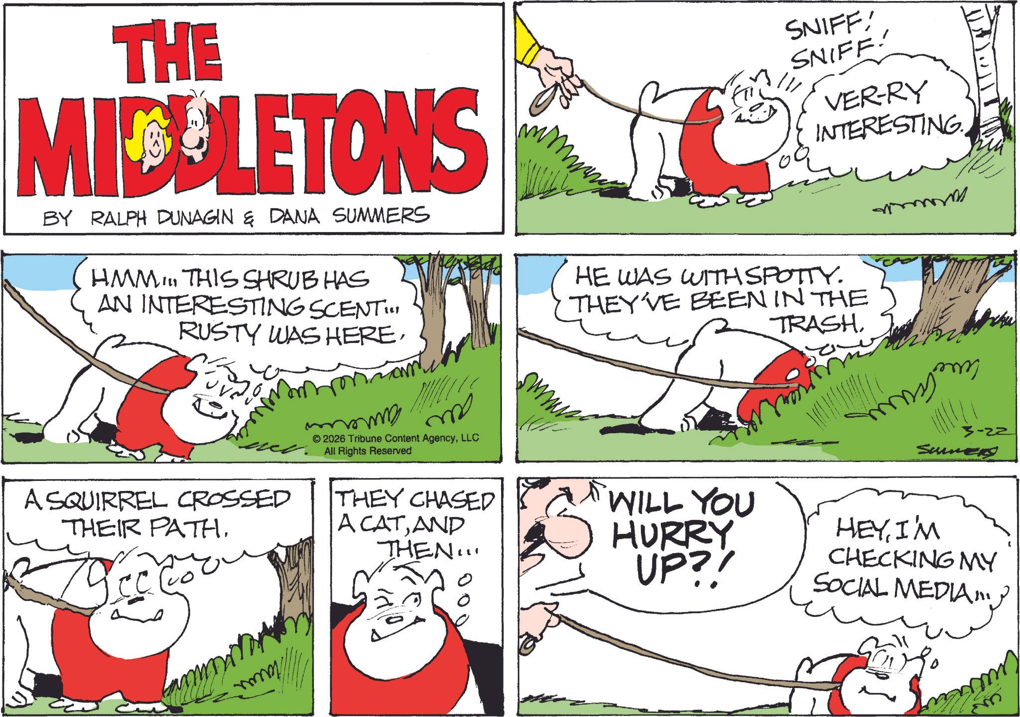 Animated cartoon OCR: THE MIDDLETONS BY RALPH DUNAGIN & DANA SUMMERS HMM THIS SHRUB HAS AN INTERESTING SCENT. RUSTY WAS HERESNIFF! SNIFF! VER-RY INTERESTING HE WAS WITH SPOTTY. THEY'VE BEEN IN THE TRASH mmmm ?????? momo m 3-22 A SQUIRREL CROSSED THEIR PATH. © 2026 Tribune Content AgencyLLC All Rights Reserved THEY CHASED A CATAND THEN... WILL YOU HURRY UP?! Sumer HEYI'M CHECKING MY SOCIAL MEDIA THE MIDDLETONS BY RALPH DUNAGIN & DANA SUMMERS HMM THIS SHRUB HAS AN INTERESTING SCENT . RUSTY WAS HERESNIFF ! SNIFF ! VER - RY INTERESTING HE WAS WITH SPOTTY . THEY'VE BEEN IN THE TRASH mmmm ?????? momo m 3-22 A SQUIRREL CROSSED THEIR PATH . © 2026 Tribune Content AgencyLLC All Rights Reserved THEY CHASED A CATAND THEN ... WILL YOU HURRY UP ?! Sumer HEYI'M CHECKING MY SOCIAL MEDIA