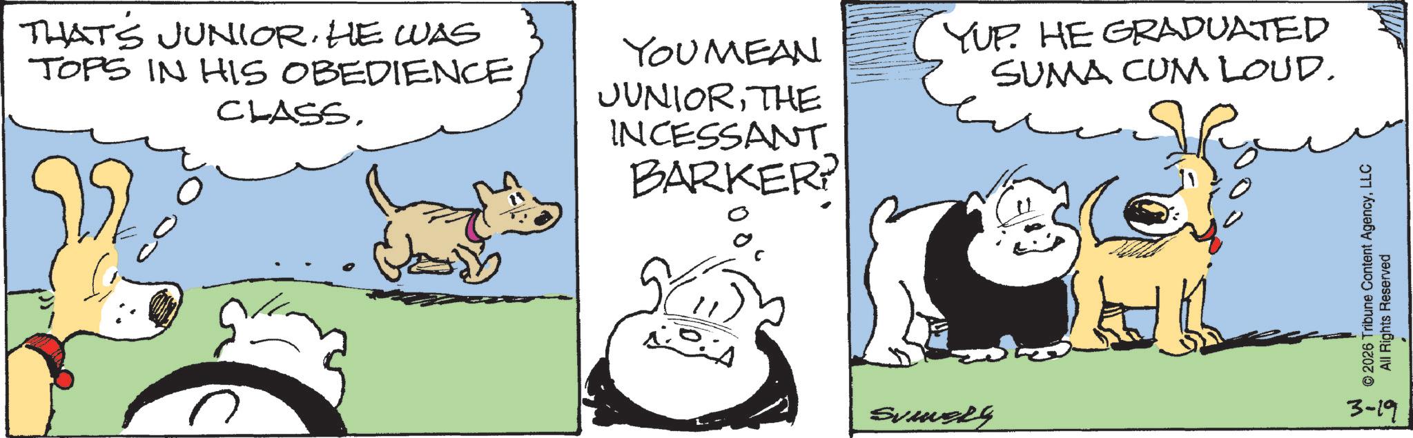 Comic book OCR: THAT'S JUNIOR. HE WAS TOPS IN HIS OBEDIENCE CLASSYOU MEAN JUNIORTHE INCESSANT BARKER? YUP. HE GRADUATED SUMA CUM LOUD. Svivery © 2026 Tribune Content AgencyLLC All Rights Reserved 3-19 THAT'S JUNIOR . HE WAS TOPS IN HIS OBEDIENCE CLASSYOU MEAN JUNIORTHE INCESSANT BARKER ? YUP . HE GRADUATED SUMA CUM LOUD . Svivery © 2026 Tribune Content AgencyLLC All Rights Reserved 3-19