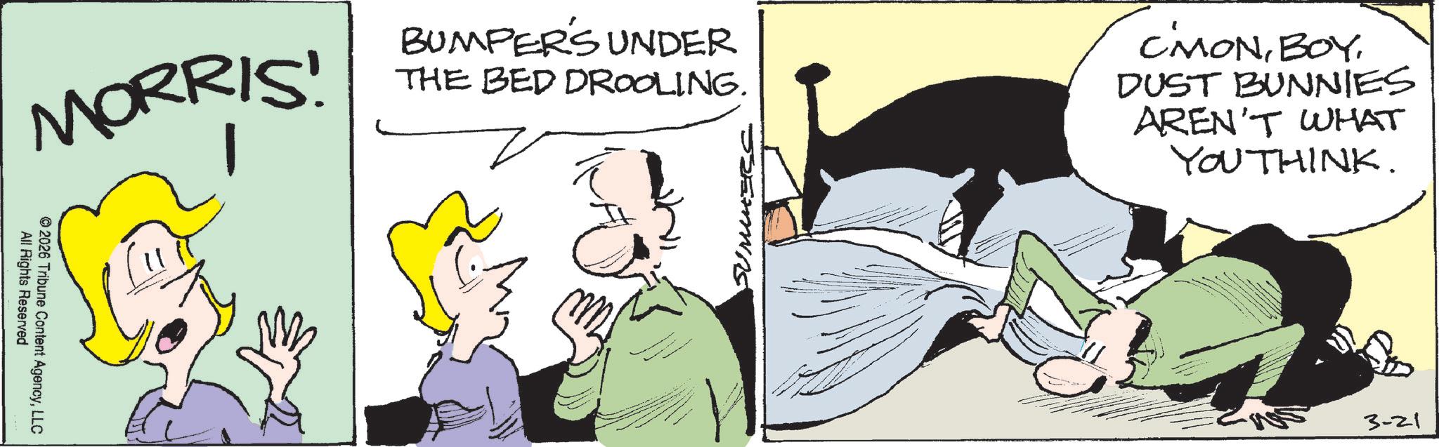 Animated cartoon OCR: MORRIS! BUMPERS UNDER THE BED DROOLING. All Rights Reserved ©2026 Tribune Content AgencyLLC SUMMER. C'MONDUST BUNNIES AREN'T WHAT YOUTHINK. 3-21 MORRIS ! BUMPERS UNDER THE BED DROOLING . All Rights Reserved © 2026 Tribune Content AgencyLLC SUMMER . C'MONDUST BUNNIES AREN'T WHAT YOUTHINK . 3-21