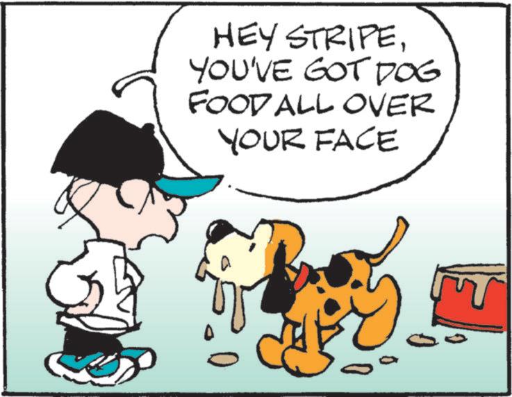 Photo caption OCR: HEY STRIPEYOU'VE GOT DOG FOOD ALL OVER YOUR FACE HEY STRIPEYOU'VE GOT DOG FOOD ALL OVER YOUR FACE