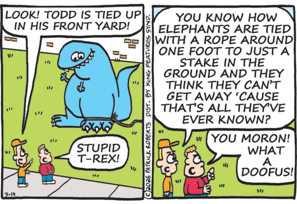 Photo caption OCR: LOOK! TODD IS TIED UP IN HIS FRONT YARD! = = 3-14 " YOU KNOW HOW ELEPHANTS ARE TIED WITH A ROPE AROUND ONE FOOT TO JUST A STAKE IN THE GROUND AND THEY THINK THEY CAN'T GET AWAY 'CAUSE THAT'S ALL THEY'VE EVER KNOWN? = Lon YOU MORON! WHAT A DOOFUS! ©2026 PATRICK ROBERTS DIST. BY KING FEATURES SYND. "" 660 STUPID T-REX! W17 W MI f M LOOK ! TODD IS TIED UP IN HIS FRONT YARD ! = = 3-14 " YOU KNOW HOW ELEPHANTS ARE TIED WITH A ROPE AROUND ONE FOOT TO JUST A STAKE IN THE GROUND AND THEY THINK THEY CAN'T GET AWAY ' CAUSE THAT'S ALL THEY'VE EVER KNOWN ? = Lon YOU MORON ! WHAT A DOOFUS ! © 2026 PATRICK ROBERTS DIST . BY KING FEATURES SYND . " " 660 STUPID T - REX ! W17 W MI f M