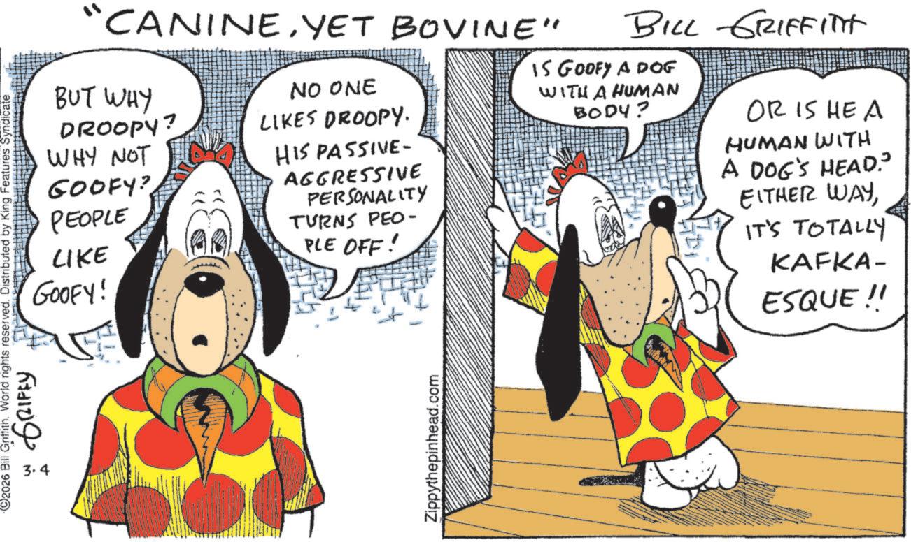 Graphics OCR: ©2026 Bill Griffith. World rights reserved. Distributed by King Features Syndicate 3.4 GRIFFY "CANINEYET BOVINE" BUT WHY DROOPY? WHY NOT GOOFY? PEOPLE LIKE GOOFY! NO ONE LIKES DROOPY. HIS PASSIVE- AGGRESSIVE PERSONALITY TURNS PEO- PLE OFF! BILL GRIFFITH IS GOOFY A DOG WITH A HUMAN BODY? OR IS HE A HUMAN WITH A DOG'S HEAD. EITHER WAYIT'S TOTALLY KAFKA- ESQUE!! Zippythepinhead.com © 2026 Bill Griffith . World rights reserved . Distributed by King Features Syndicate 3.4 GRIFFY " CANINEYET BOVINE " BUT WHY DROOPY ? WHY NOT GOOFY ? PEOPLE LIKE GOOFY ! NO ONE LIKES DROOPY . HIS PASSIVE- AGGRESSIVE PERSONALITY TURNS PEO- PLE OFF ! BILL GRIFFITH IS GOOFY A DOG WITH A HUMAN BODY ? OR IS HE A HUMAN WITH A DOG'S HEAD . EITHER WAYIT'S TOTALLY KAFKA- ESQUE !! Zippythepinhead.com