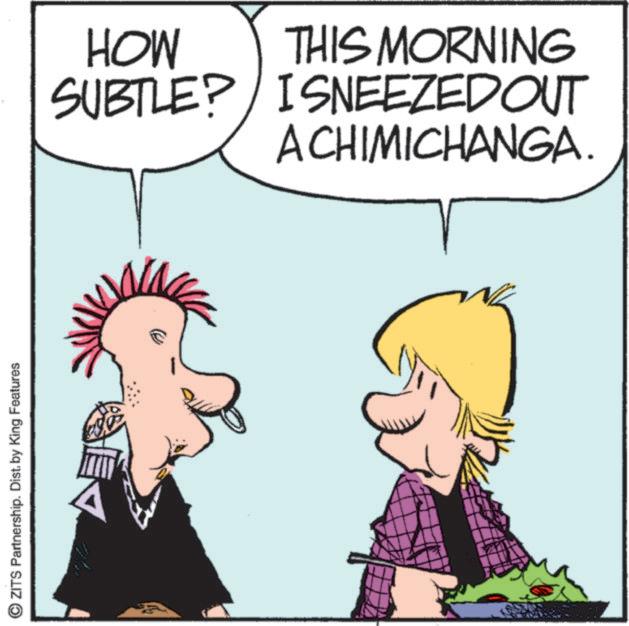 Graphics OCR: ZITS Partnership. Dist. by King Features HOW THIS MORNING SUBTLE? ISNEEZEDOUT ACHIMICHANGA. ZITS Partnership . Dist . by King Features HOW THIS MORNING SUBTLE ? ISNEEZEDOUT ACHIMICHANGA .