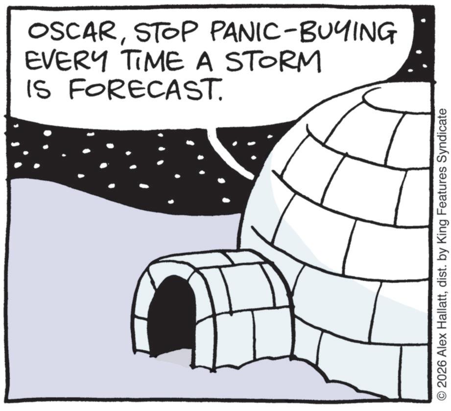 Fictional character OCR: OSCARSTOP PANIC-BUYING EVERY TIME A STORM IS FORECAST. O2026 Alex Hallattdist. by King Features Syndicate OSCARSTOP PANIC - BUYING EVERY TIME A STORM IS FORECAST . O2026 Alex Hallattdist . by King Features Syndicate