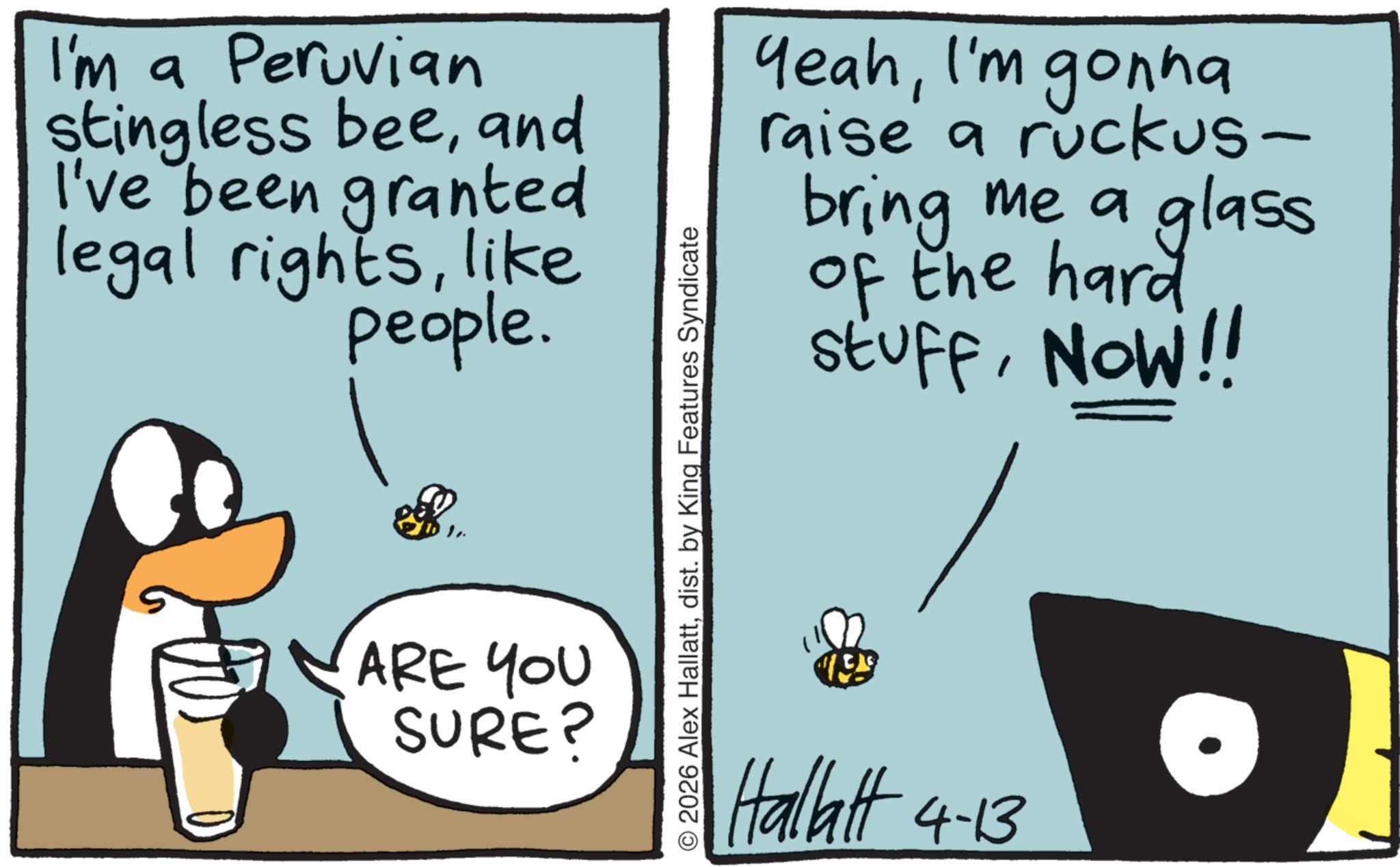 Animation OCR: I'm a Peruvian stingless beeand I've been granted legal rightslike people. ARE YOU SURE? © 2026 Alex Hallattdist. by King Features Syndicate YeahI'm gonna raise a ruckus- bring me a glass of the hard StuffNOW!! Hallatt 4-13 I'm a Peruvian stingless beeand I've been granted legal rightslike people . ARE YOU SURE ? © 2026 Alex Hallattdist . by King Features Syndicate YeahI'm gonna raise a ruckus- bring me a glass of the hard StuffNOW !! Hallatt 4-13