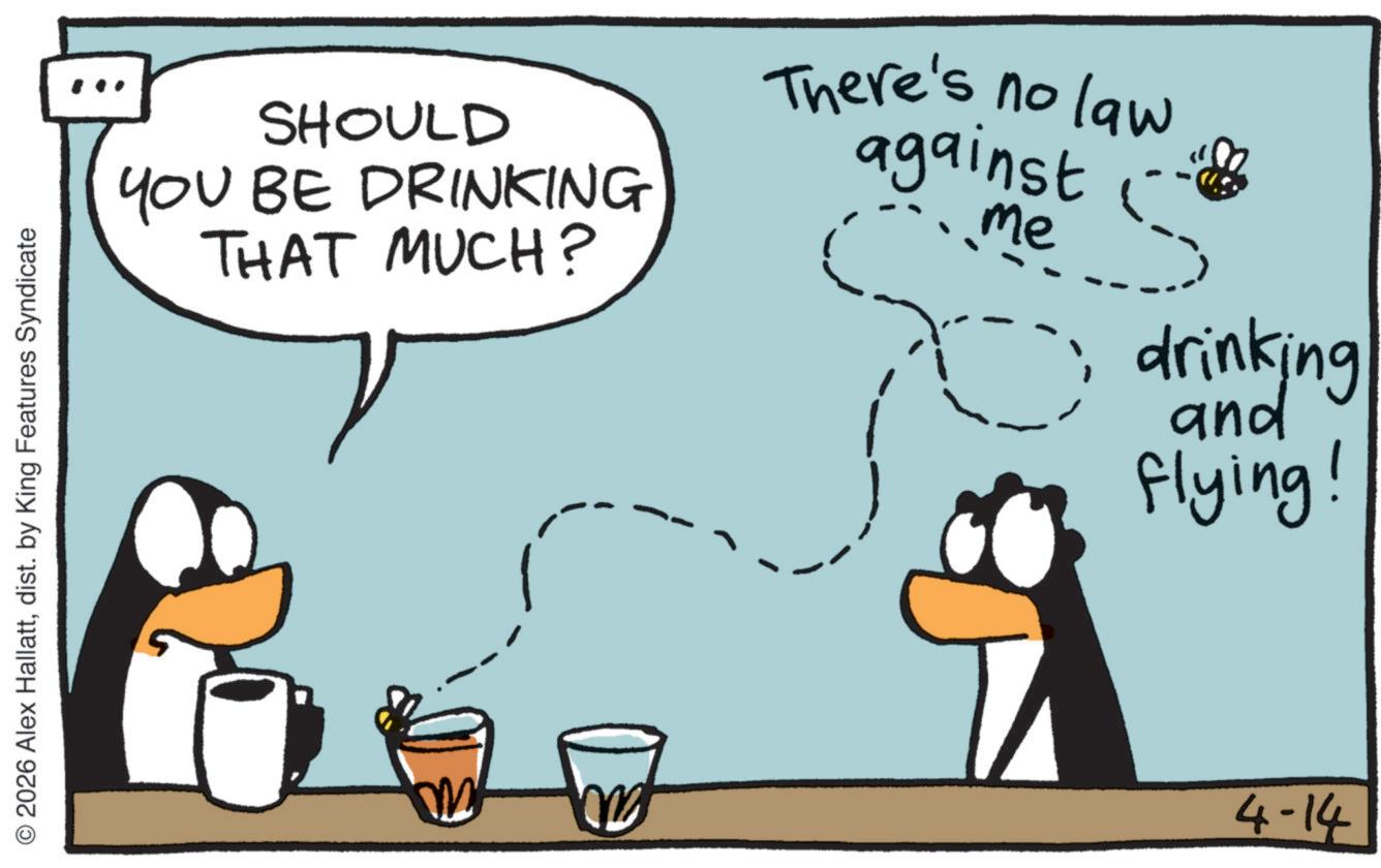 Clip art OCR: © 2026 Alex Hallattdist. by King Features Syndicate 771-77 SHOULD YOU BE DRINKING THAT MUCH? There's no law. against me drinking and flying! © 2026 Alex Hallattdist . by King Features Syndicate 771-77 SHOULD YOU BE DRINKING THAT MUCH ? There's no law . against me drinking and flying !