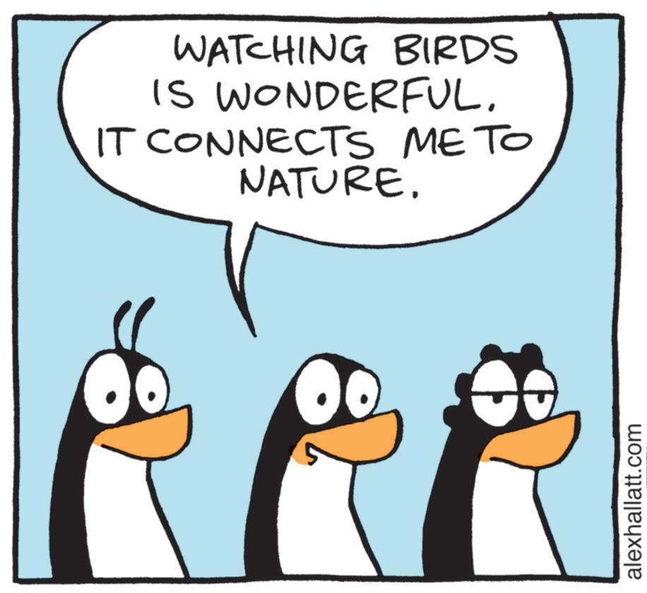 Fiction OCR: WATCHING BIRDS IS WONDERFUL. IT CONNECTS ME TO NATURE. alexhallatt.com WATCHING BIRDS IS WONDERFUL . IT CONNECTS ME TO NATURE . alexhallatt.com