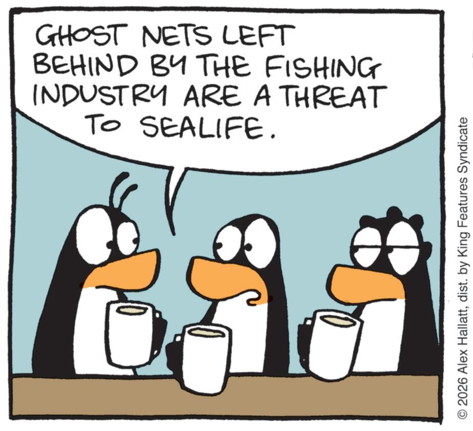 Fictional character OCR: GHOST NETS LEFT BEHIND BY THE FISHING INDUSTRY ARE A THREAT TO SEALIFE. O 2026 Alex Hallattdist. by King Features Syndicate GHOST NETS LEFT BEHIND BY THE FISHING INDUSTRY ARE A THREAT TO SEALIFE . O 2026 Alex Hallattdist . by King Features Syndicate