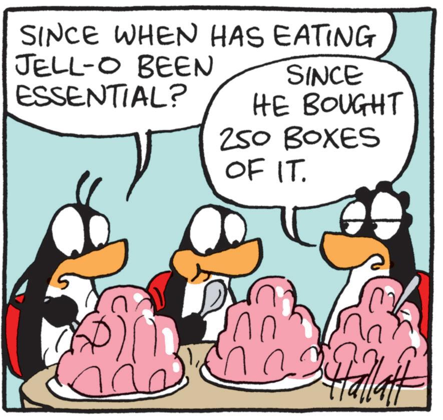 Fictional character OCR: SINCE WHEN HAS EATING JELL-O BEEN ESSENTIAL? SINCE HE BOUGHT 250 BOXES OF IT. na Hallatt SINCE WHEN HAS EATING JELL - O BEEN ESSENTIAL ? SINCE HE BOUGHT 250 BOXES OF IT . na Hallatt