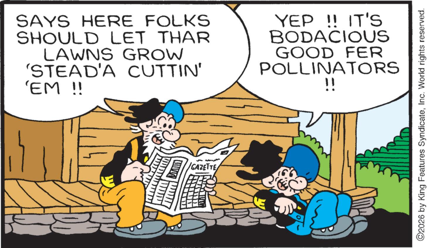 Comic book OCR: SAYS HERE FOLKS SHOULD LET THAR LAWNS GROW 'STEAD'A CUTTIN' 'EM !! YEP!! IT'S BODACIOUS GOOD FER POLLINATORS !! /GAZETTE ©2026 by King Features SyndicateInc. World rights reserved. SAYS HERE FOLKS SHOULD LET THAR LAWNS GROW ' STEAD'A CUTTIN ' ' EM !! YEP !! IT'S BODACIOUS GOOD FER POLLINATORS !! / GAZETTE © 2026 by King Features SyndicateInc. World rights reserved .