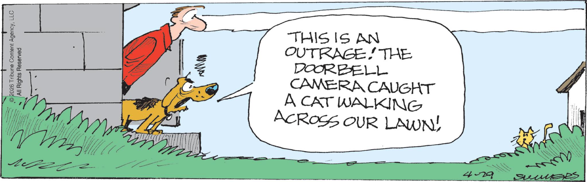 Fiction OCR: 2026 Tribune Content AgencyLLC All Rights Reserved THIS IS AN OUTRAGE. THE DOORBELL CAMERA CAUGHT A CAT WALKING ACROSS OUR LAWN! 4-29 SUMERS 2026 Tribune Content AgencyLLC All Rights Reserved THIS IS AN OUTRAGE . THE DOORBELL CAMERA CAUGHT A CAT WALKING ACROSS OUR LAWN ! 4-29 SUMERS