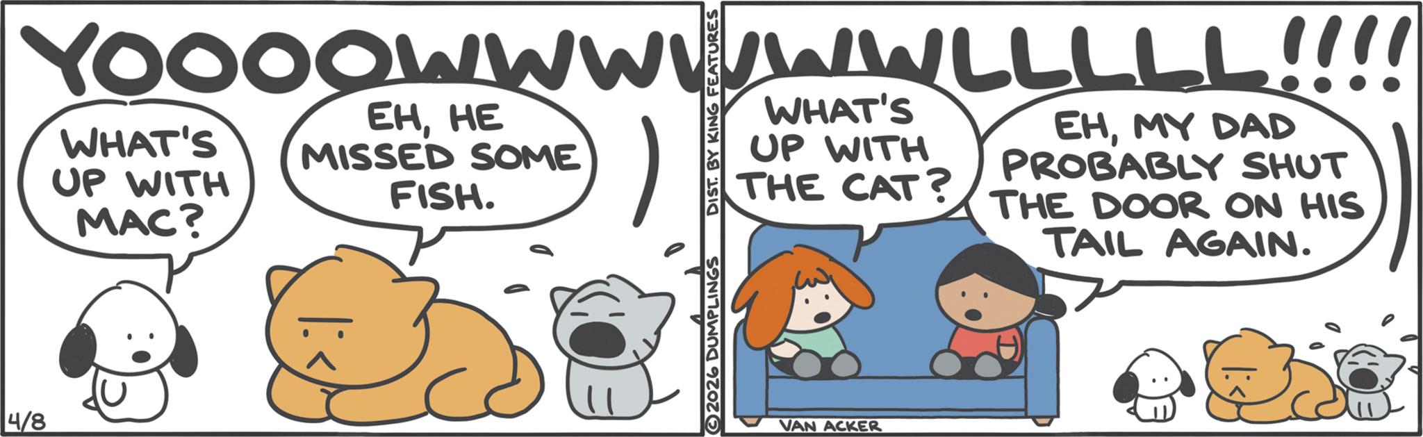 Fictional character OCR: 4/8 YOOOOWWW WHAT'S UP WITH MAC? EHHE MISSED SOME FISH. 2026 DUMPLINGS DIST. BY KING FEATURES WWLLLLL!!!! WHAT'S UP WITH THE CAT? EHMY DAD PROBABLY SHUT THE DOOR ON HIS TAIL AGAIN. VAN ACKER 4/8 YOOOOWWW WHAT'S UP WITH MAC ? EHHE MISSED SOME FISH . 2026 DUMPLINGS DIST . BY KING FEATURES WWLLLLL !!!! WHAT'S UP WITH THE CAT ? EHMY DAD PROBABLY SHUT THE DOOR ON HIS TAIL AGAIN . VAN ACKER