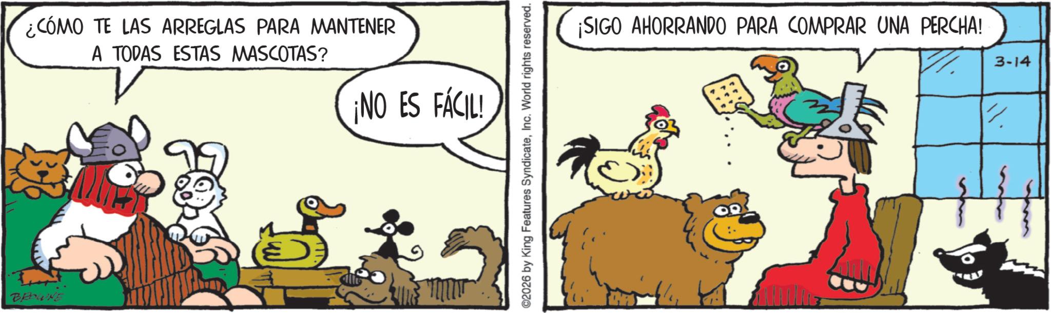 Conversation OCR: BROWNE ¿CÓMO TE LAS ARREGLAS PARA MANTENER A TODAS ESTAS MASCOTAS? ¡NO ES FÁCIL! ©2026 by King Features SyndicateInc. World rights reserved. ¡SIGO AHORRANDO PARA COMPRAR UNA PERCHA! V/ 3-14 BROWNE ¿ CÓMO TE LAS ARREGLAS PARA MANTENER A TODAS ESTAS MASCOTAS ? ¡ NO ES FÁCIL ! © 2026 by King Features SyndicateInc. World rights reserved . ¡ SIGO AHORRANDO PARA COMPRAR UNA PERCHA ! V / 3-14