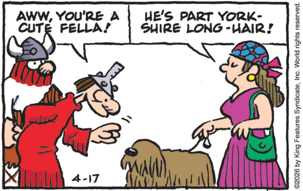 Clip art OCR: AWWYOU'RE A CUTE FELLA! 4-17 HE'S PART YORK- SHIRE LONG-HAIR! ©2026 by King Features SyndicateInc. World rights reserved. AWWYOU'RE A CUTE FELLA ! 4-17 HE'S PART YORK- SHIRE LONG - HAIR ! © 2026 by King Features SyndicateInc. World rights reserved .