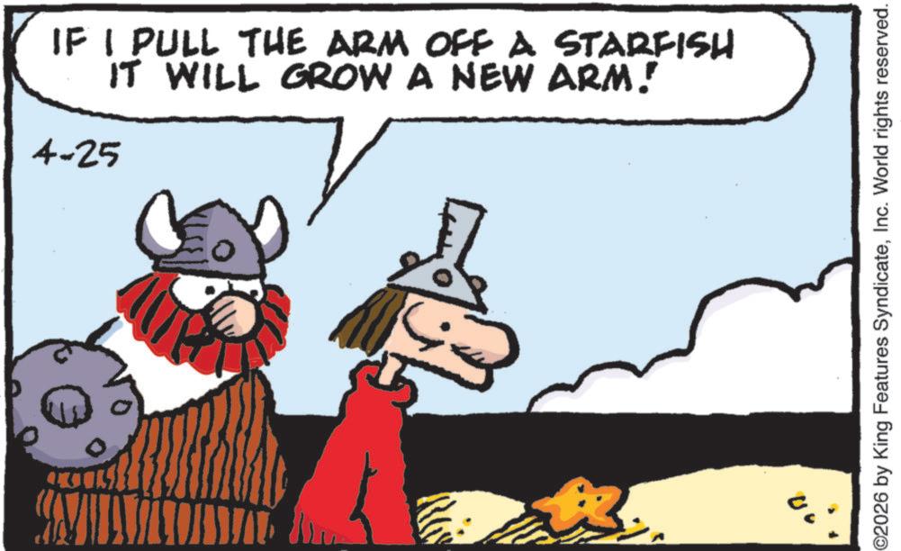 Animated cartoon OCR: ??? IF I PULL THE ARM OFF A STARFISH IT WILL GROW A NEW ARM! 4-25 02026 by King Features SyndicateInc. World rights reserved. ? ?? IF I PULL THE ARM OFF A STARFISH IT WILL GROW A NEW ARM ! 4-25 02026 by King Features SyndicateInc. World rights reserved .