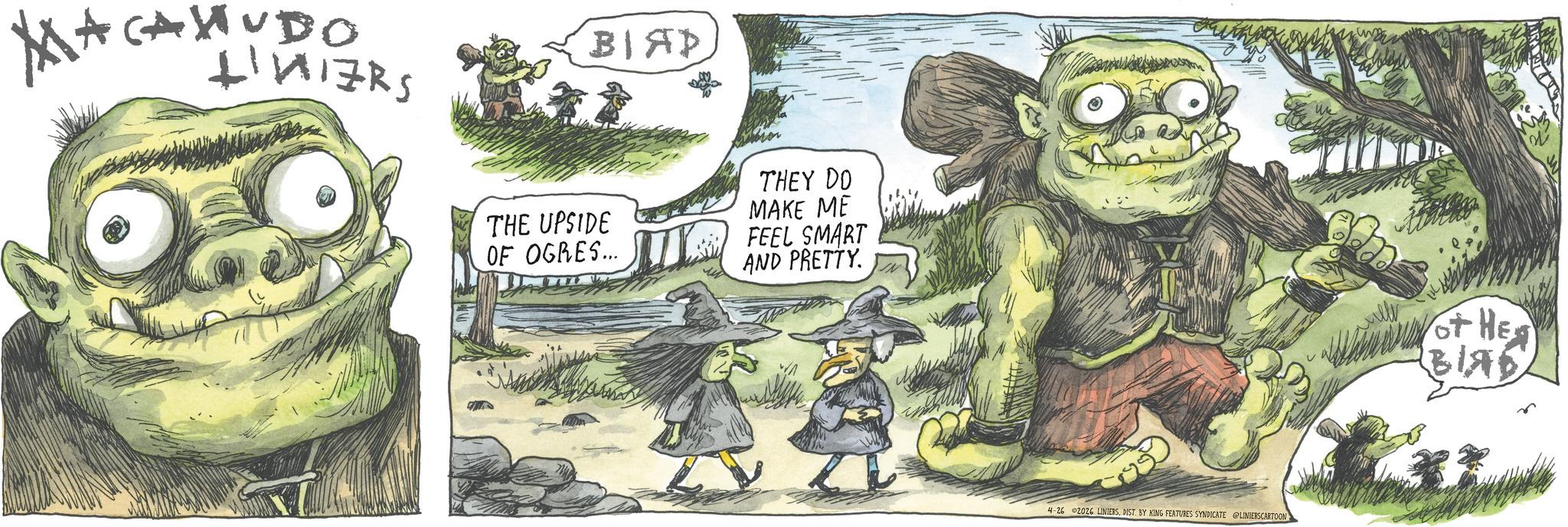 Lawn ornament OCR: MACAHUDO ???? THE UPSIDE OF OGRES... THEY DO MAKE ME FEEL SMART AND PRETTY 4-26 2026 LINIERSDIST. BY KING FEATURES SYNDICATE @LINIERSCARTOON WHE BLAD MACAHUDO ???? THE UPSIDE OF OGRES ... THEY DO MAKE ME FEEL SMART AND PRETTY 4-26 2026 LINIERSDIST . BY KING FEATURES SYNDICATE @LINIERSCARTOON WHE BLAD