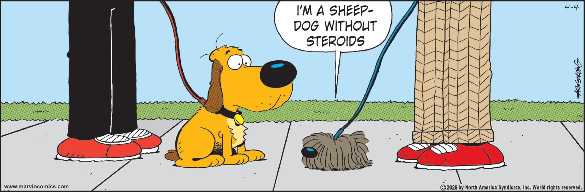 Pet Supply OCR: www.marvincomics.com I'M A SHEEP- DOG WITHOUT STEROIDS 2026 by North America SyndicateInc. World rights reserved. 4-4 ARMSTRONG www.marvincomics.com I'M A SHEEP- DOG WITHOUT STEROIDS 2026 by North America SyndicateInc. World rights reserved . 4-4 ARMSTRONG