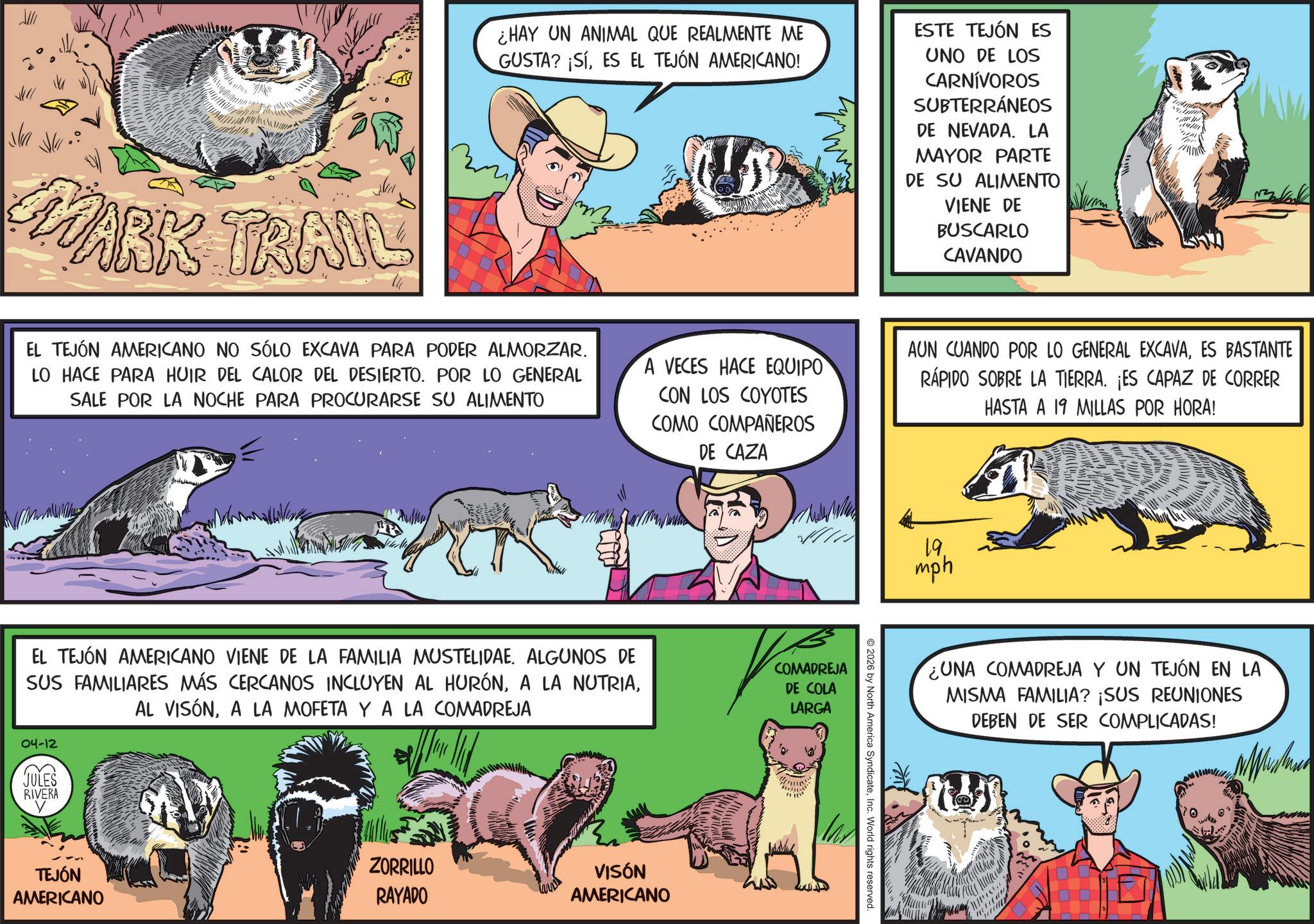 Comic book OCR: Na MARK TRAIL ¿HAY UN ANIMAL QUE REALMENTE ME GUSTA? ¡SÍES EL TEJÓN AMERICANO! ESTE TEJÓN ES UNO DE LOS CARNÍVOROS SUBTERRÁNEOS DE NEVADA. LA MAYOR PARTE DE SU ALIMENTO VIENE DE BUSCARLO CAVANDO EL TEJÓN AMERICANO NO SÓLO EXCAVA PARA PODER ALMORZAR. LO HACE PARA HUIR DEL CALOR DEL DESIERTO. POR LO GENERAL SALE POR LA NOCHE PARA PROCURARSE SU ALIMENTO A VECES HACE EQUIPO CON LOS COYOTES COMO COMPAÑEROS DE CAZA AUN CUANDO POR LO GENERAL EXCAVAES BASTANTE RÁPIDO SOBRE LA TIERRA. ¡ES CAPAZ DE CORRER HASTA A 19 MILLAS POR HORA! EL TEJÓN AMERICANO VIENE DE LA FAMILIA MUSTELIDAE. ALGUNOS DE SUS FAMILIARES MÁS CERCANOS INCLUYEN AL HURÓNA LA MOFETA Y A LA COMADREJA COMADREJA DE COLA LARGA 04-12 JULES RIVERA TEJÓN AMERICANO ZORRILLO RAYADO VISÓN AMERICANO 19. mph m 2026 by North America SyndicateInc. World rights reserved. ¿UNA COMADREJA Y UN TEJÓN EN LA MISMA FAMILIA? ¡SUS REUNIONES DEBEN DE SER COMPLICADAS! Na MARK TRAIL ¿ HAY UN ANIMAL QUE REALMENTE ME GUSTA ? ¡ SÍES EL TEJÓN AMERICANO ! ESTE TEJÓN ES UNO DE LOS CARNÍVOROS SUBTERRÁNEOS DE NEVADA . LA MAYOR PARTE DE SU ALIMENTO VIENE DE BUSCARLO CAVANDO EL TEJÓN AMERICANO NO SÓLO EXCAVA PARA PODER ALMORZAR . LO HACE PARA HUIR DEL CALOR DEL DESIERTO . POR LO GENERAL SALE POR LA NOCHE PARA PROCURARSE SU ALIMENTO A VECES HACE EQUIPO CON LOS COYOTES COMO COMPAÑEROS DE CAZA AUN CUANDO POR LO GENERAL EXCAVAES BASTANTE RÁPIDO SOBRE LA TIERRA . ¡ ES CAPAZ DE CORRER HASTA A 19 MILLAS POR HORA ! EL TEJÓN AMERICANO VIENE DE LA FAMILIA MUSTELIDAE . ALGUNOS DE SUS FAMILIARES MÁS CERCANOS INCLUYEN AL HURÓNA LA NUTRIAAL VISÓNA LA MOFETA Y A LA COMADREJA COMADREJA DE COLA LARGA 04-12 JULES RIVERA TEJÓN AMERICANO ZORRILLO RAYADO VISÓN AMERICANO 19 . mph m 2026 by North America SyndicateInc. World rights reserved . ¿ UNA COMADREJA Y UN TEJÓN EN LA MISMA FAMILIA ? ¡ SUS REUNIONES DEBEN DE SER COMPLICADAS !