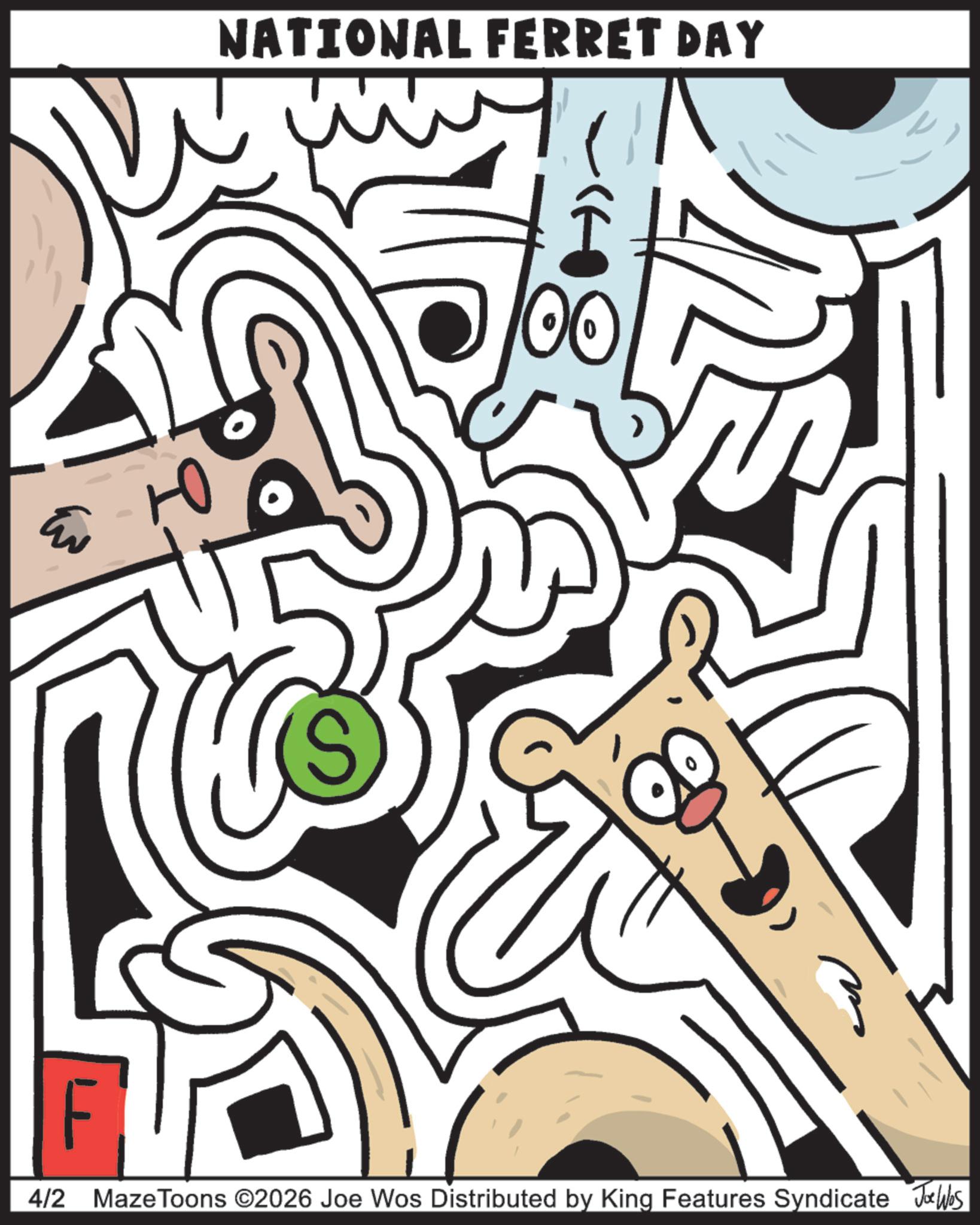 OCR: NATIONAL FERRET DAY 80 4/2 Maze Toons ©2026 Joe Wos Distributed by King Features Syndicate Jobs NATIONAL FERRET DAY 80 4/2 Maze Toons © 2026 Joe Wos Distributed by King Features Syndicate Jobs