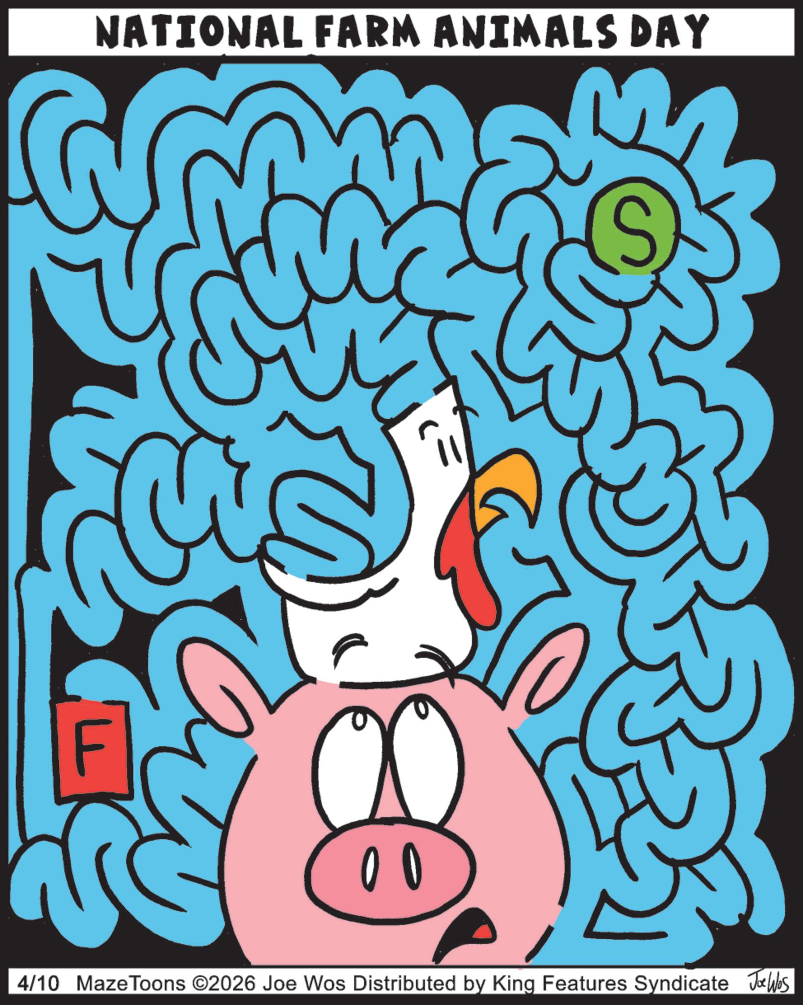 Child art OCR: NATIONAL FARM ANIMALS DAY 00 4/10 MazeToons ©2026 Joe Wos Distributed by King Features Syndicate Jobs NATIONAL FARM ANIMALS DAY 00 4/10 MazeToons © 2026 Joe Wos Distributed by King Features Syndicate Jobs