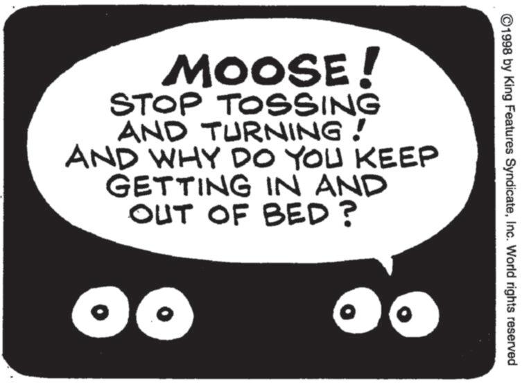 Photo caption OCR: 1998 by King Features SyndicateInc. World rights reserved MOOSE! STOP TOSSING AND TURNING! AND WHY DO YOU KEEP GETTING IN AND OUT OF BED? 1998 by King Features SyndicateInc. World rights reserved MOOSE ! STOP TOSSING AND TURNING ! AND WHY DO YOU KEEP GETTING IN AND OUT OF BED ?