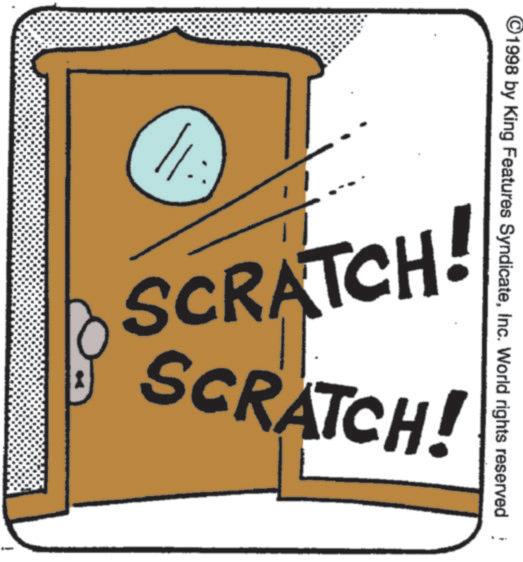 Drawing OCR: ©1998 by King Features SyndicateInc. World rights reserved 11. & SCRATCH! SCRATCH! © 1998 by King Features SyndicateInc. World rights reserved 11 . & SCRATCH ! SCRATCH !