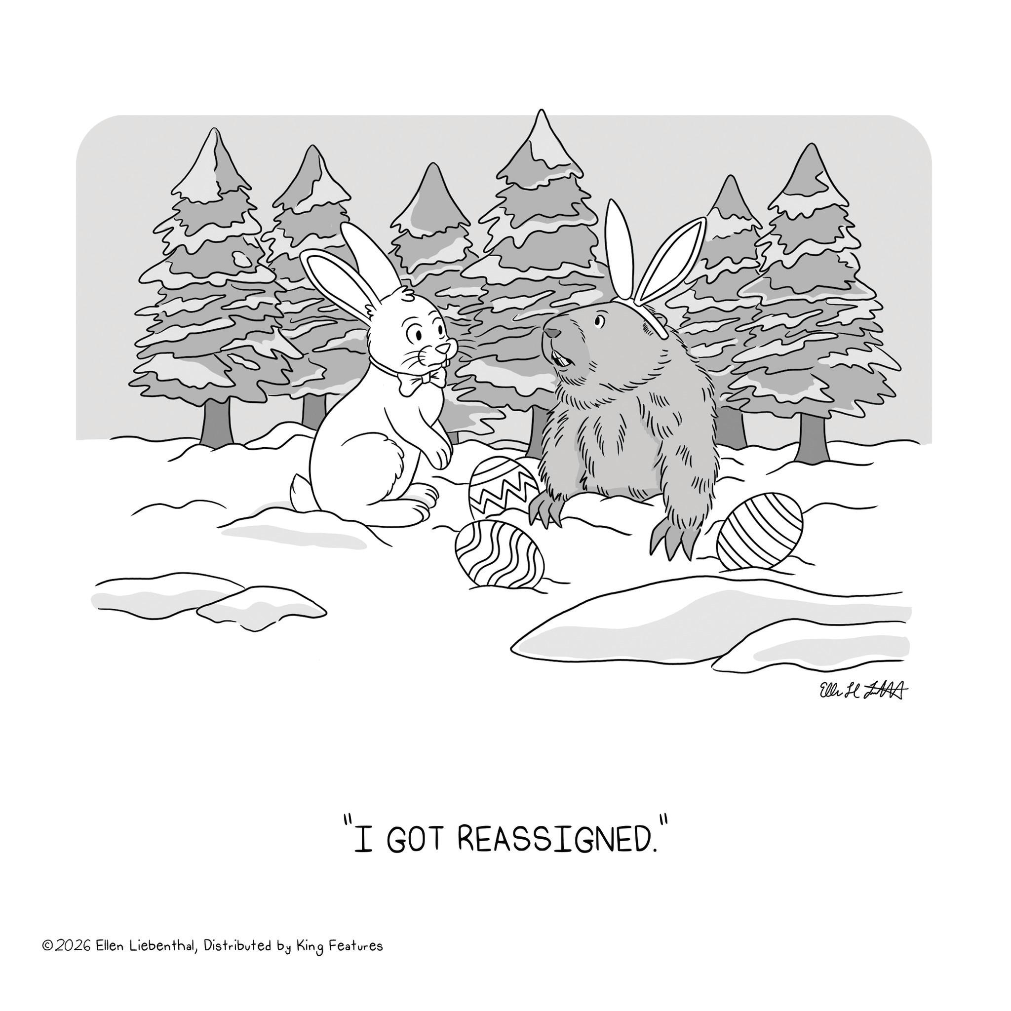 Leporids OCR: "1 "I GOT REASSIGNED." ©2026 Ellen LiebenthalDistributed by King Features Ell H " 1 " I GOT REASSIGNED . " © 2026 Ellen LiebenthalDistributed by King Features Ell H