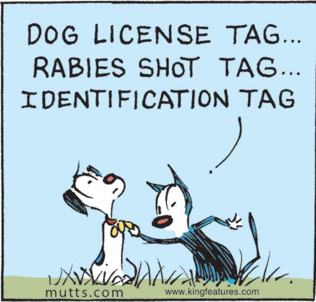 Photo caption OCR: DOG LICENSE TAG... RABIES SHOT TAG... IDENTIFICATION TAG mutts.com www.kingfeatures.com DOG LICENSE TAG ... RABIES SHOT TAG ... IDENTIFICATION TAG mutts.com www.kingfeatures.com