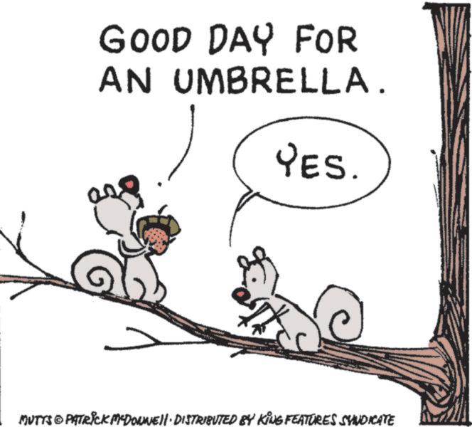 Happiness OCR: GOOD DAY FOR AN UMBRELLA. YES. MUTTS© PATRICK MCDONNELL DISTRIBUTED BY KING FEATURES SYNDICATE GOOD DAY FOR AN UMBRELLA . YES . MUTTS © PATRICK MCDONNELL DISTRIBUTED BY KING FEATURES SYNDICATE