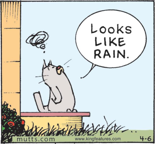 Line art OCR: Looks LIKE RAIN. mutts.com www.kingfeatures.com 4.6 Looks LIKE RAIN . mutts.com www.kingfeatures.com 4.6