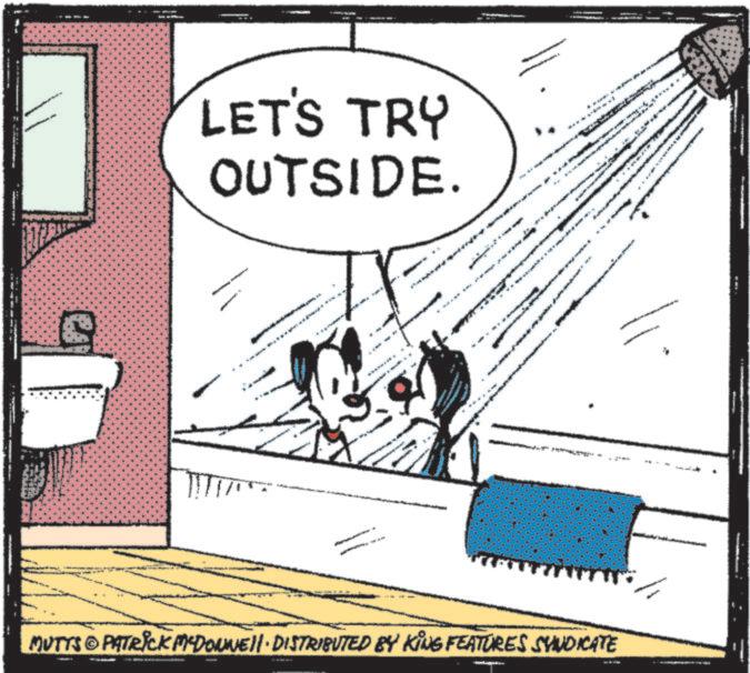 Animated cartoon OCR: LET'S TRY OUTSIDE. IN • MUTTS PATRICK MCDONNEll. DISTRIBUTED BY KING FEATURES SYNDICATE LET'S TRY OUTSIDE . IN • MUTTS PATRICK MCDONNEll . DISTRIBUTED BY KING FEATURES SYNDICATE