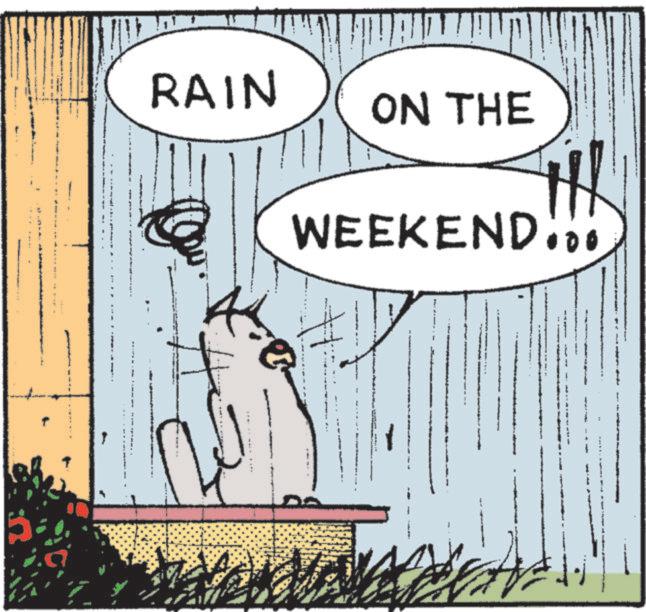 Photo caption OCR: 4 RAIN ON THE WEEKEND... 4 RAIN ON THE WEEKEND ...