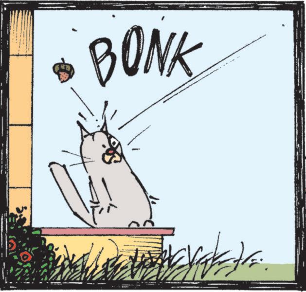 Tail OCR: BONK BONK