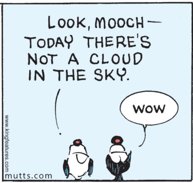 Graphics OCR: LOOKMOOCH- TODAY THERE'S NOT A CLOUD IN THE SKY. wow www.kingfeatures.com mutts.com LOOKMOOCH- TODAY THERE'S NOT A CLOUD IN THE SKY . wow www.kingfeatures.com mutts.com