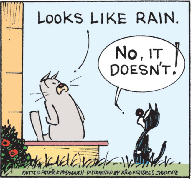 Line art OCR: Looks LIKE RAIN. NoIT DOESN'T! ? ?? A- MUTTS © PATRICK MEDONNE!! · DISTRIBUTED BY KING FEATURES SYNDICATE Looks LIKE RAIN . NoIT DOESN'T ! ? ?? A- MUTTS © PATRICK MEDONNE !! · DISTRIBUTED BY KING FEATURES SYNDICATE