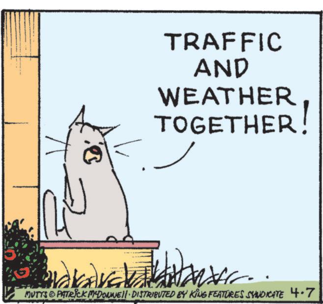 Whiskers OCR: TRAFFIC AND WEATHER TOGETHER! MUTTS PATRICK MCDONNELL DISTRIBUTED BY KING FEATURES SYNDICATE 4.7 TRAFFIC AND WEATHER TOGETHER ! MUTTS PATRICK MCDONNELL DISTRIBUTED BY KING FEATURES SYNDICATE 4.7
