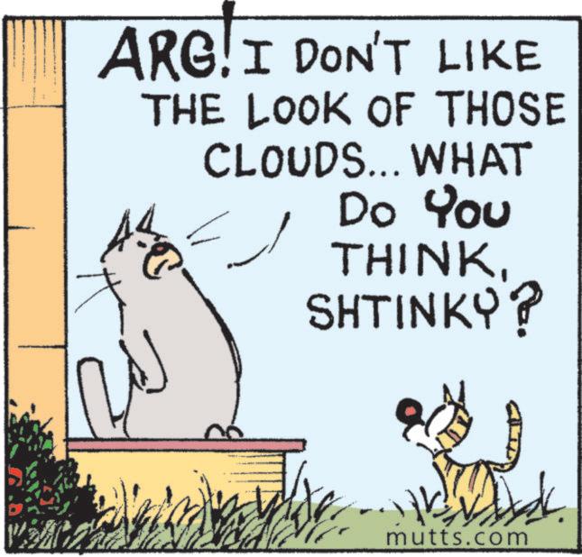 Graphics OCR: ARG! I DON'T LIKE THE LOOK OF THOSE CLOUDS... WHAT Do You THINKSHTINKY? mutts.com ARG ! I DON'T LIKE THE LOOK OF THOSE CLOUDS ... WHAT Do You THINKSHTINKY ? mutts.com