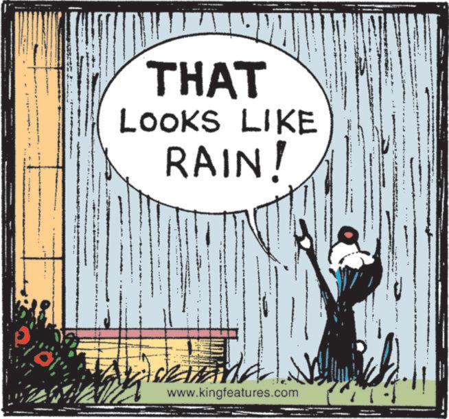 Animation OCR: THAT LOOKS LIKE RAIN! www.kingfeatures.com THAT LOOKS LIKE RAIN ! www.kingfeatures.com