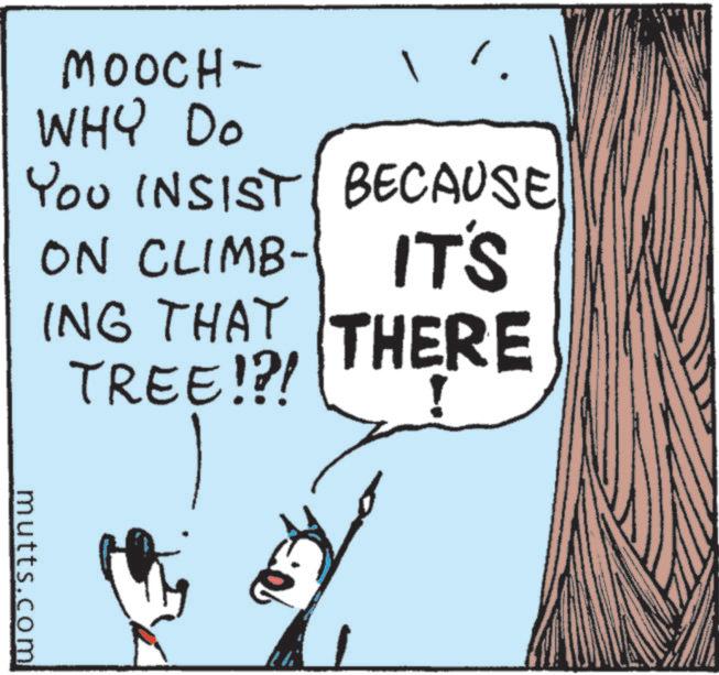 Animated cartoon OCR: MOOCH- WHY Do YOU INSIST BECAUSE ON CLIMB IT'S ING THAT THERE TREE!?! mutts.com MOOCH- WHY Do YOU INSIST BECAUSE ON CLIMB IT'S ING THAT THERE TREE ! ? ! mutts.com