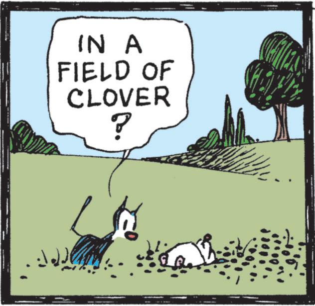 Animation OCR: IN A FIELD OF CLOVER ? IN A FIELD OF CLOVER ?