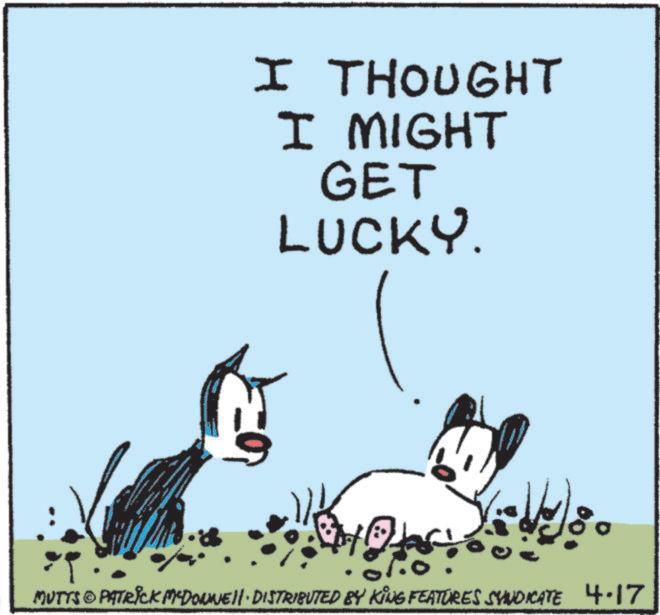 Line art OCR: I THOUGHT I MIGHT GET LUCKY. MUTTS PATRICK M-DOWNE • DISTRIBUTED BY KING FEATURES SYNDICATE 4.17 I THOUGHT I MIGHT GET LUCKY . MUTTS PATRICK M - DOWNE • DISTRIBUTED BY KING FEATURES SYNDICATE 4.17