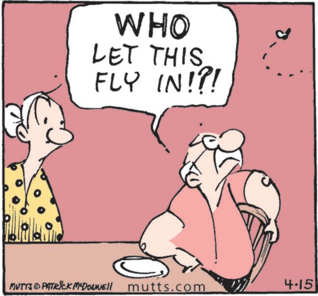 Animated cartoon OCR: WHO LET THIS FLY IN!?! MUTTS © PATRICK MYDowwell mutts.com 4.15 WHO LET THIS FLY IN ! ? ! MUTTS © PATRICK MYDowwell mutts.com 4.15