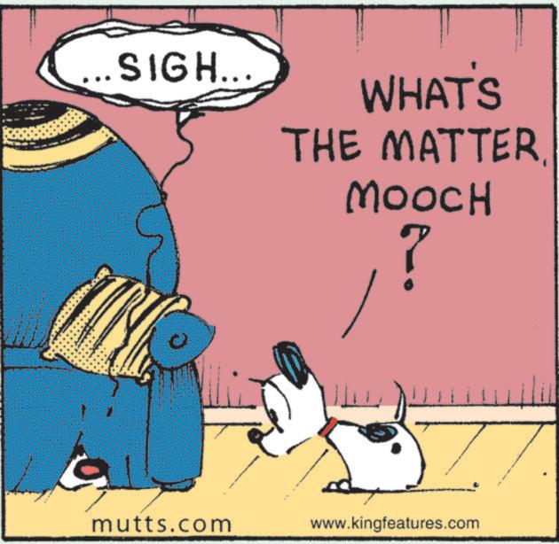 Fictional character OCR: ... SIGH... WHAT'S THE MATTERMOOCH ? mutts.com www.kingfeatures.com ... SIGH ... WHAT'S THE MATTERMOOCH ? mutts.com www.kingfeatures.com