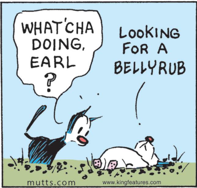 Photo caption OCR: WHAT'CHA DOINGEARL LOOKING FOR A BELLY RUB mutts.com www.kingfeatures.com WHAT'CHA DOINGEARL LOOKING FOR A BELLY RUB mutts.com www.kingfeatures.com
