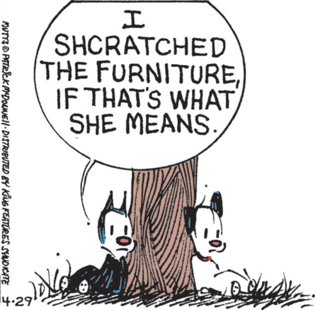 Fictional character OCR: I SHCRATCHED THE FURNITUREIF THAT'S WHAT SHE MEANS E MUTTS © PATRICK MYDONNE)|· DISTRIBUTED BY KING FEATURES SYNDICATE 14.29 www I SHCRATCHED THE FURNITUREIF THAT'S WHAT SHE MEANS E MUTTS © PATRICK MYDONNE ) | · DISTRIBUTED BY KING FEATURES SYNDICATE 14.29 www