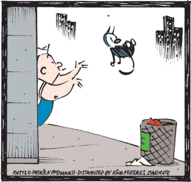 Fiction OCR: C MUTTS PATRICK MCDONNELL DISTRIBUTED BY KING FEATURES SYNDICATE C MUTTS PATRICK MCDONNELL DISTRIBUTED BY KING FEATURES SYNDICATE