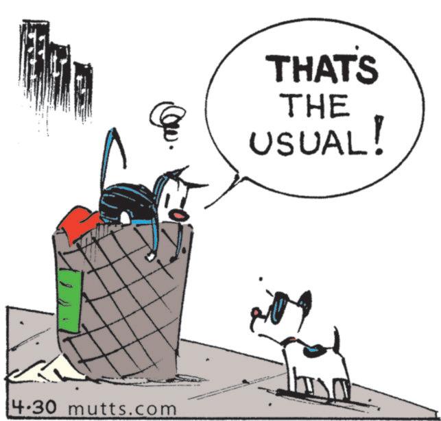 Clip art OCR: 4.30 mutts.com THAT'S THE USUAL! 4.30 mutts.com THAT'S THE USUAL !