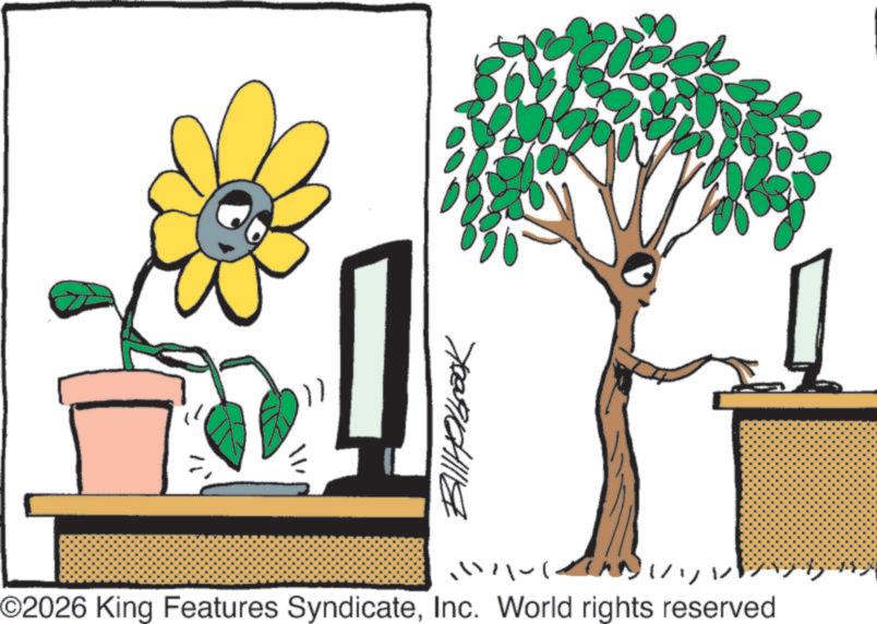 Animated cartoon OCR: ©2026 King Features SyndicateInc. World rights reserved © 2026 King Features SyndicateInc. World rights reserved