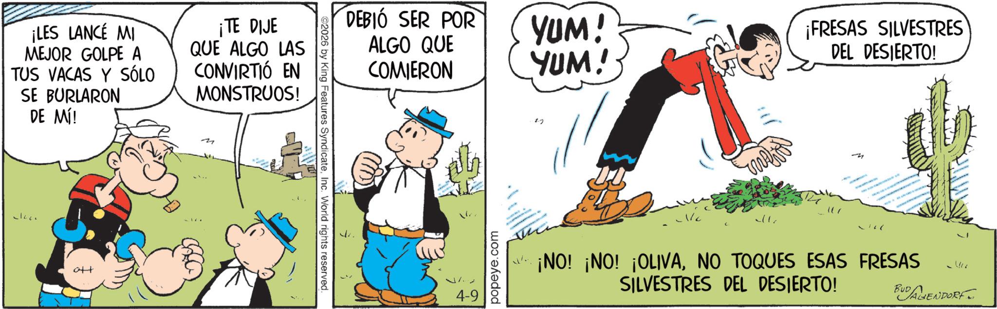 Animated cartoon OCR: ¡LES LANCE MI MEJOR GOLPE A TUS VACAS Y SÓLO SE BURLARON DE MÍ! ¡TE DIJE QUE ALGO LAS CONVIRTIÓ EN MONSTRUOS! Jace ott M ©2026 by King Features SyndicateInc. World rights reserved. DEBIÓ SER POR ALGO QUE COMIERON 37.7 4-9 popeye.com YUM! YUM! ¡FRESAS SILVESTRES DEL DESIERTO! M ¡NO! ¡NO! ¡OLIVANO TOQUES ESAS FRESAS SILVESTRES DEL DESIERTO! BUD AGENDORF ¡ LES LANCE MI MEJOR GOLPE A TUS VACAS Y SÓLO SE BURLARON DE MÍ ! ¡ TE DIJE QUE ALGO LAS CONVIRTIÓ EN MONSTRUOS ! Jace ott M © 2026 by King Features SyndicateInc. World rights reserved . DEBIÓ SER POR ALGO QUE COMIERON 37.7 4-9 popeye.com YUM ! YUM ! ¡ FRESAS SILVESTRES DEL DESIERTO ! M ¡ NO ! ¡ NO ! ¡ OLIVANO TOQUES ESAS FRESAS SILVESTRES DEL DESIERTO ! BUD AGENDORF